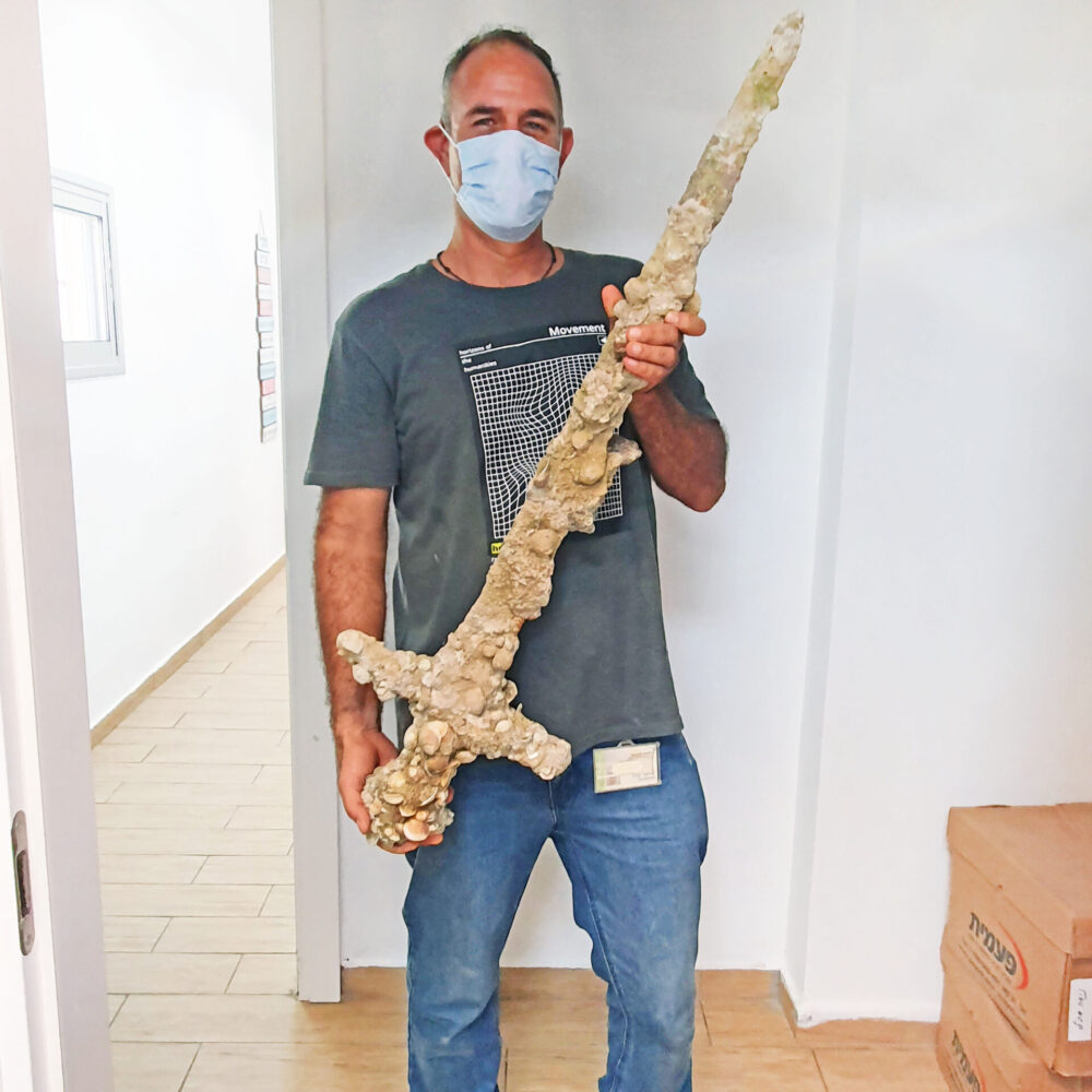Diver Shlomi Katzin with the sword. Photo by Nir Distelfeld, Israel Antiquities Authority