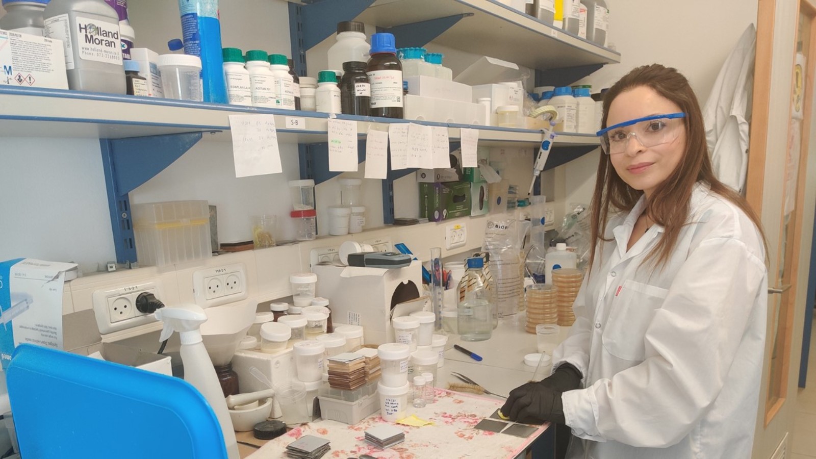 Dr. Sanaa Khalil working at Bio-Fence. Photo courtesy of Bio-Fence