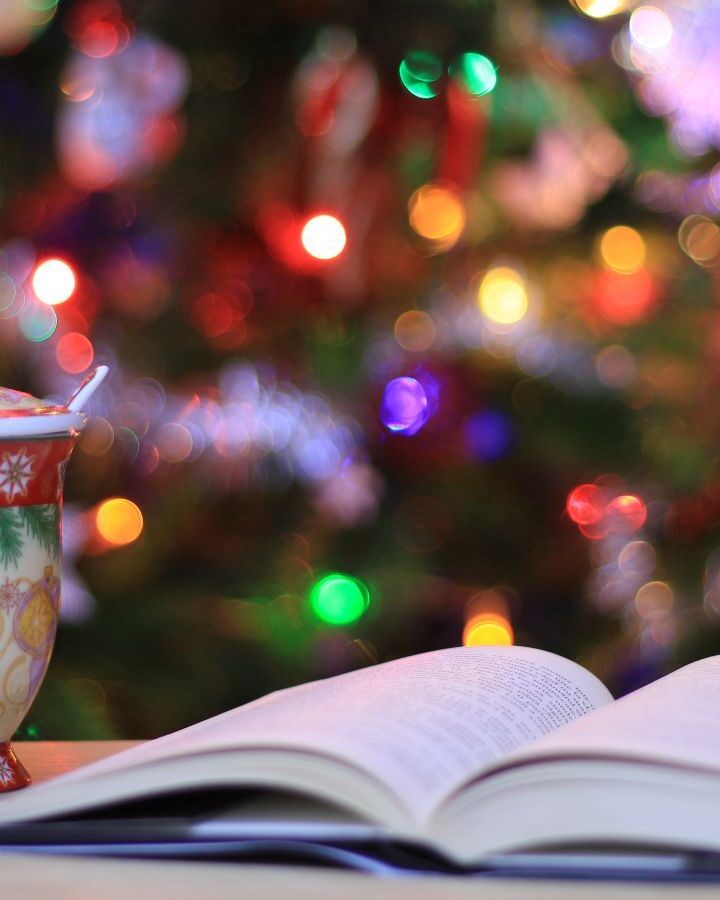 Curl up with a good book this holiday season to make it perfectly complete. Photo by Andreea Radu on Unsplash