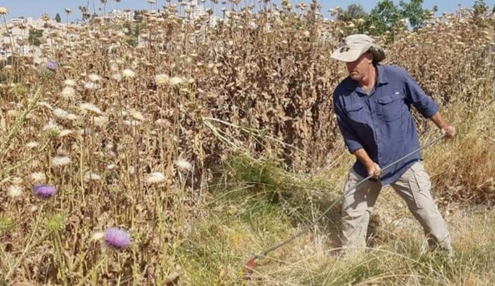 Urban Nature Director Amir Balaban of the Society for the Protection of Nature in Israel. Photo by Yael Hamerman/SPNI