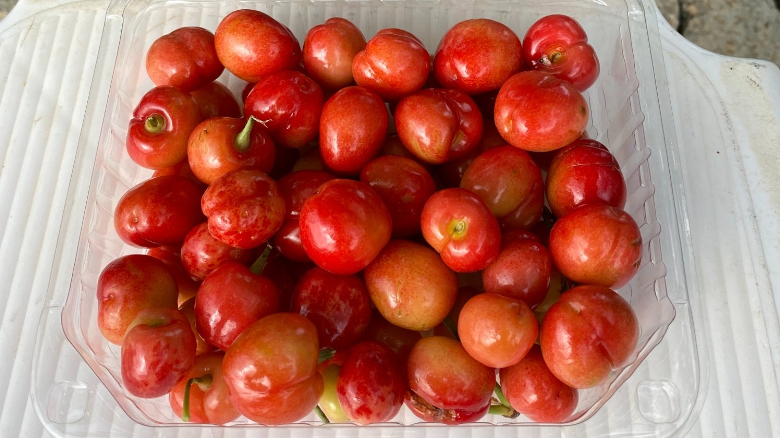 Cherries harvested in Mitzpeh Ramon. Photo by Pini Elmakayes