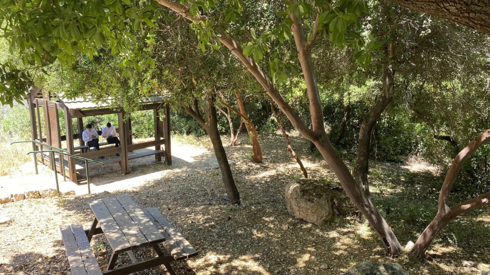 Two Ukrainian kids take a quiet moment to check their phones at Nes Harim. Photo by Nicky Blackburn