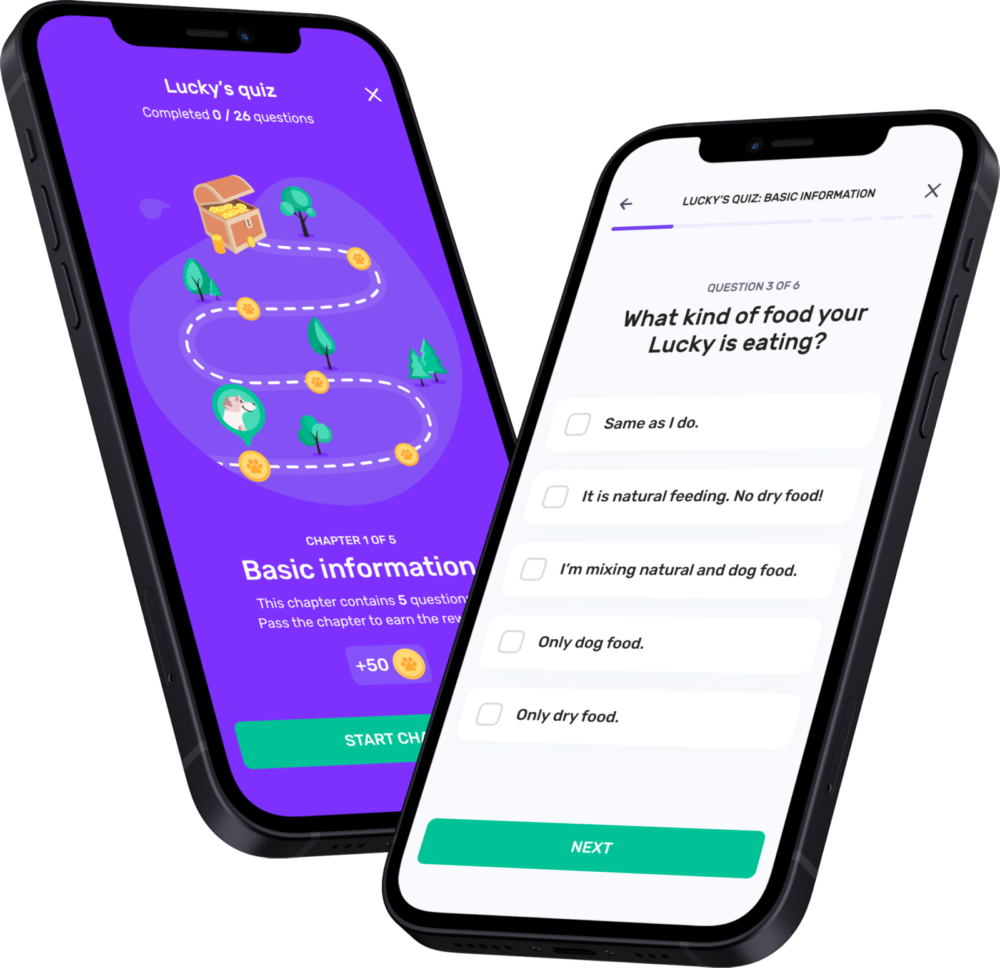 Dog owners fill out a questionnaire to personalize the fitness challenges on the Dogiz app. Image courtesy of Dogiz