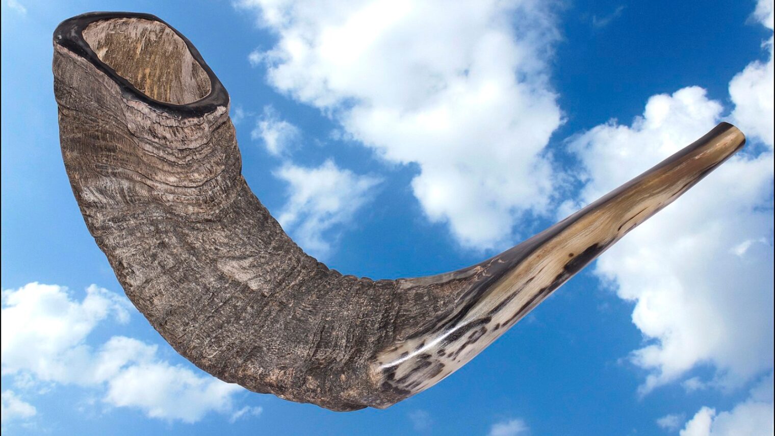 The ram’s horn shofar is a main symbol of Rosh Hashana. Photo by Zachi Evenor via Wikimedia Commons