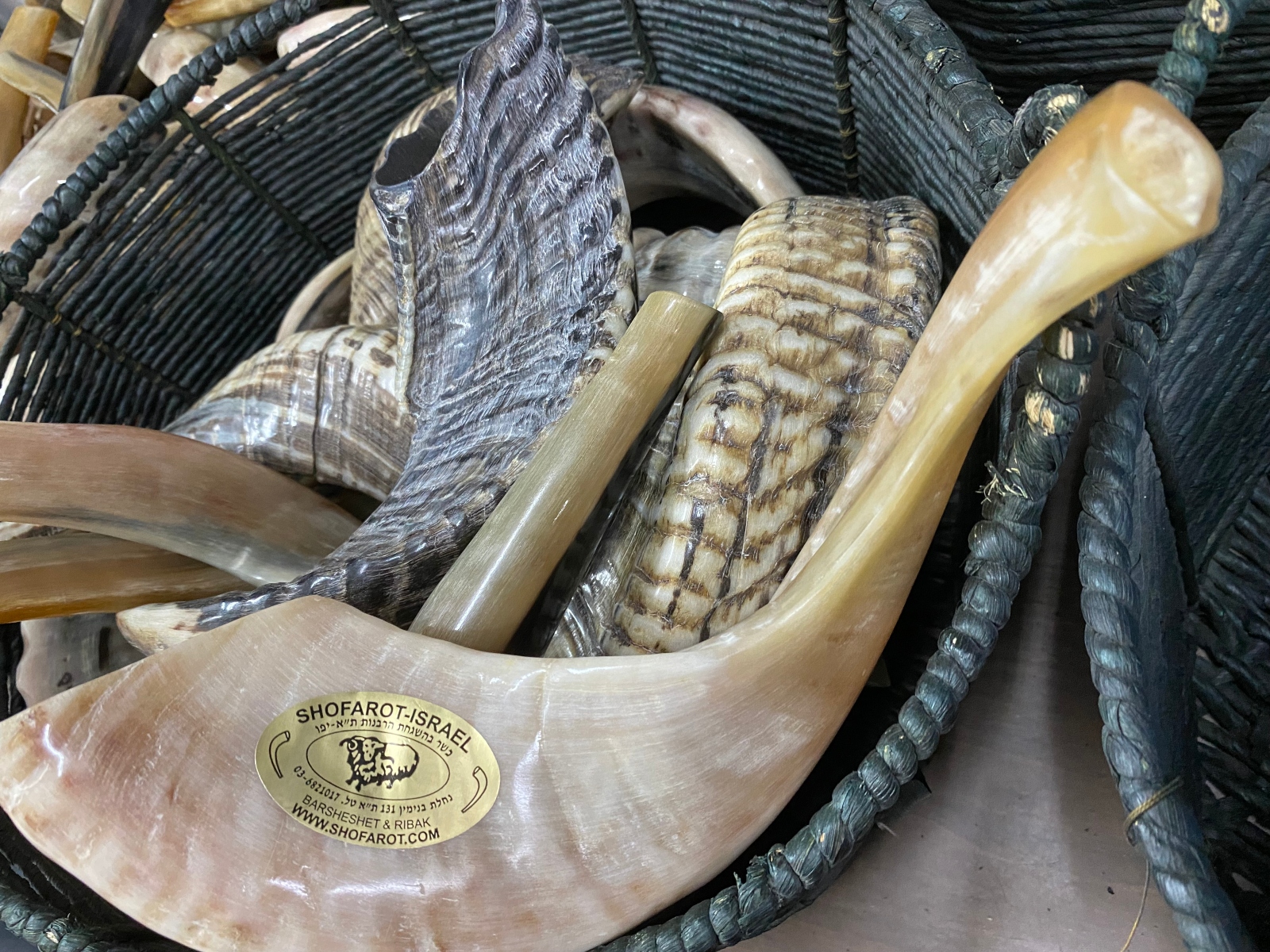 A basketful of finished shofars of different styles. Photo by Abigail Leichman A basket filled with various shofars, traditional Jewish musical instruments made from ram’s horns, including one with a label that reads “Shofarot Israel.”.