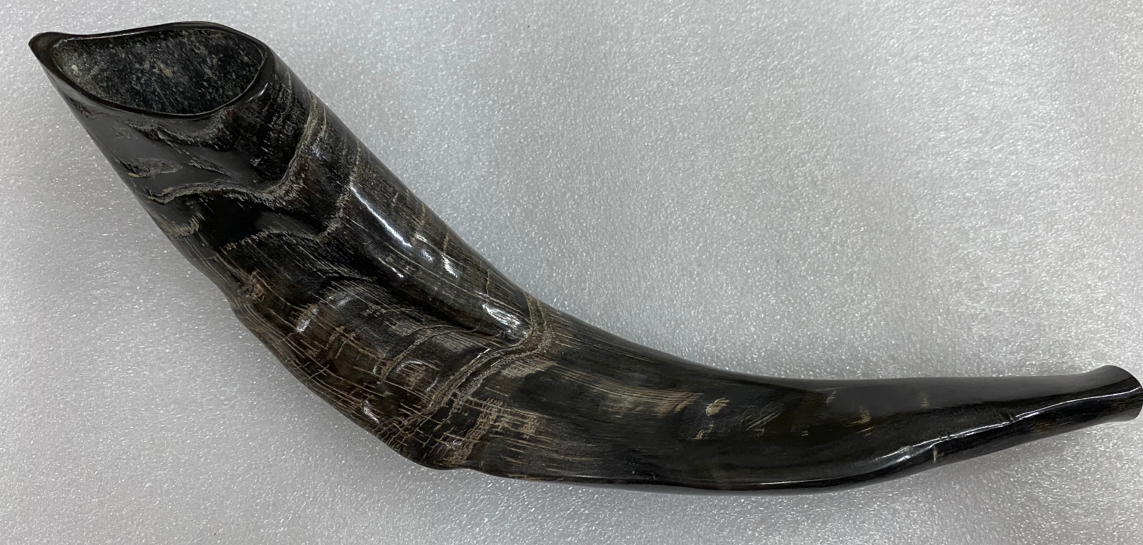 A goat’s horn is the preferred shofar for Italian Jews. Photo by Abigail Leichman A dark, curved ram’s horn, known as a shofar, lying on a textured white surface. The shofar has a glossy finish with visible natural patterns and grooves.