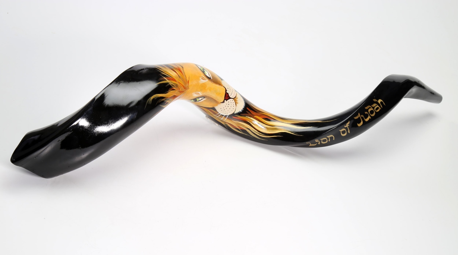 Lion of Judah decorated antelope shofar. Photo by Eli Ribak A polished, curved shofar decorated with a painted lion’s face and mane, and gold Hebrew lettering reading “Lion of Judah” on the dark surface.
