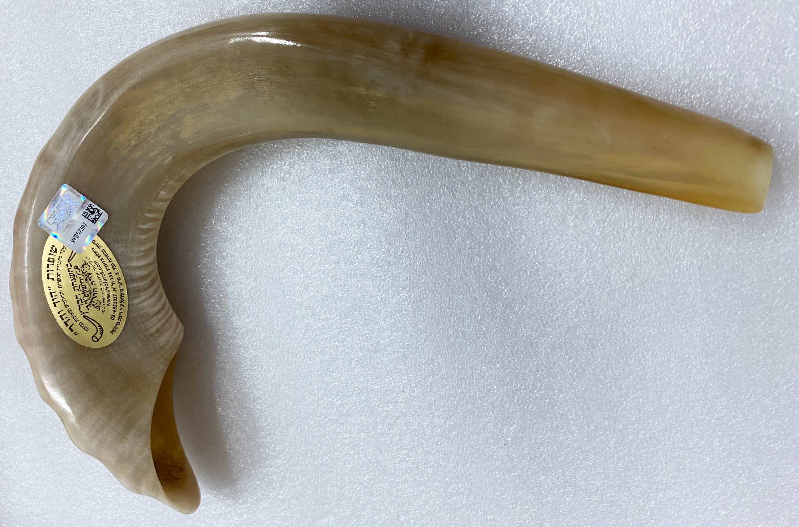 This Ashkenazic style shofar is certified kosher for Rosh Hashana. Photo by Abigail Leichman A curved, light brown shofar with a Hebrew label attached, resting on a white textured surface.