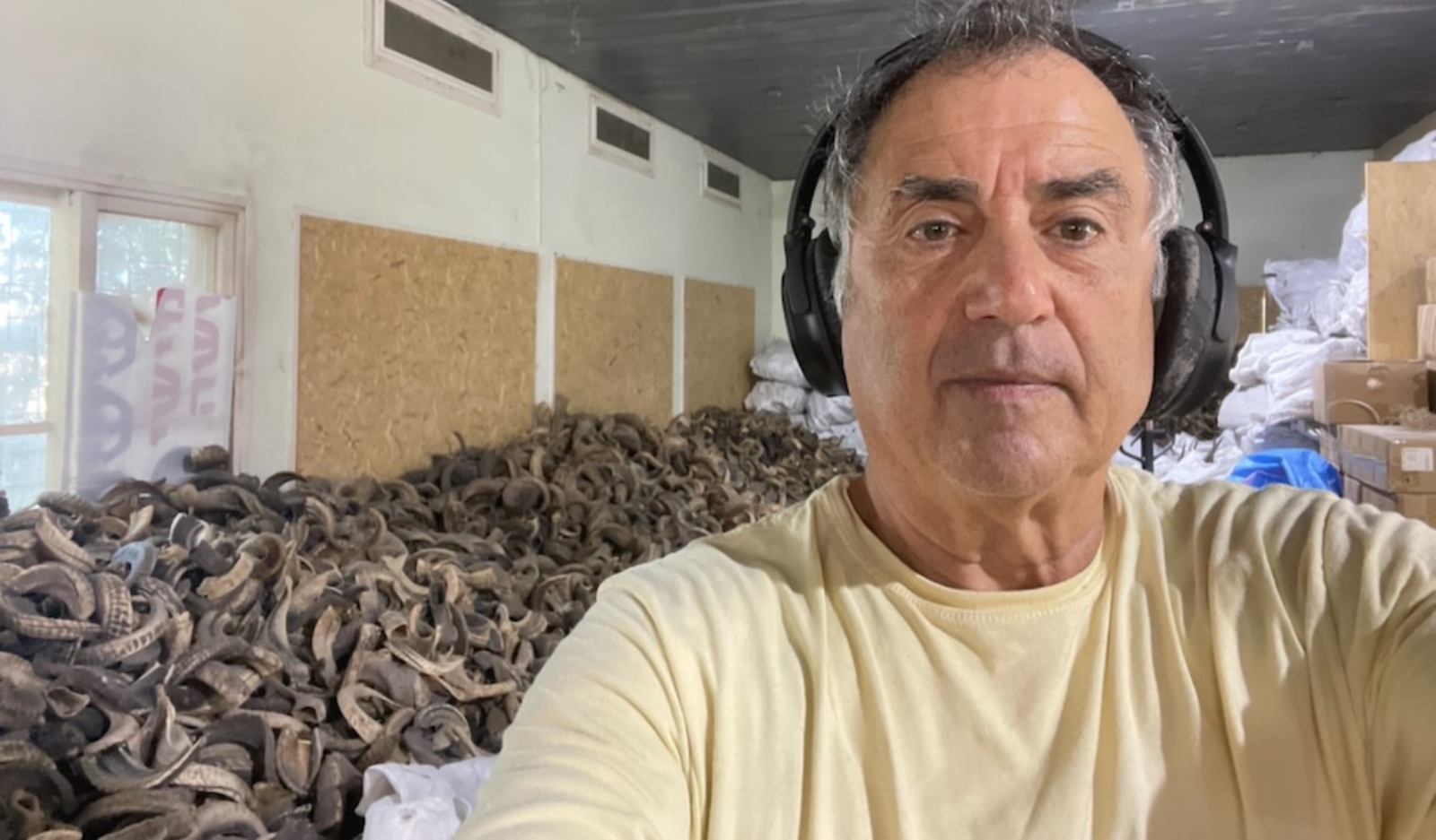 Zvi Barsheshet with imported rams’ horns in his Haifa workshop. Photo courtesy of Zvi Barsheshet A man wearing headphones takes a selfie in a room filled with large piles of animal horns or similar objects stacked against the wall. The room has high windows and is cluttered with bags and boxes.