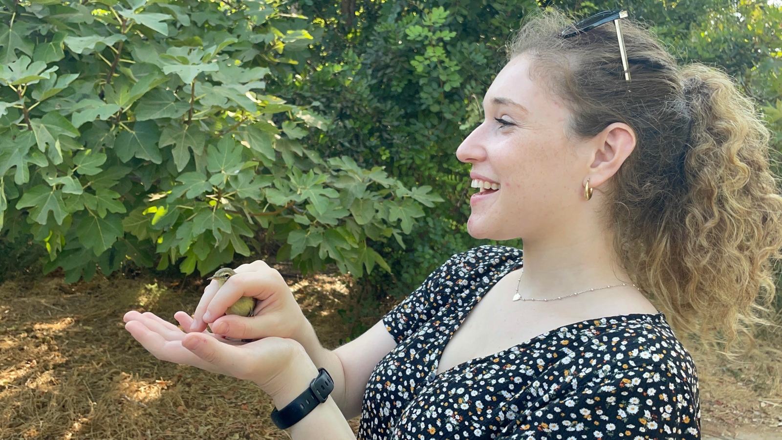 Natalie Selvin, ISRAEL21c social media coordinator, releasing a bird into the wild after it was banded at Rosh Tzipor. Photo courtesy of Natalie Selvin