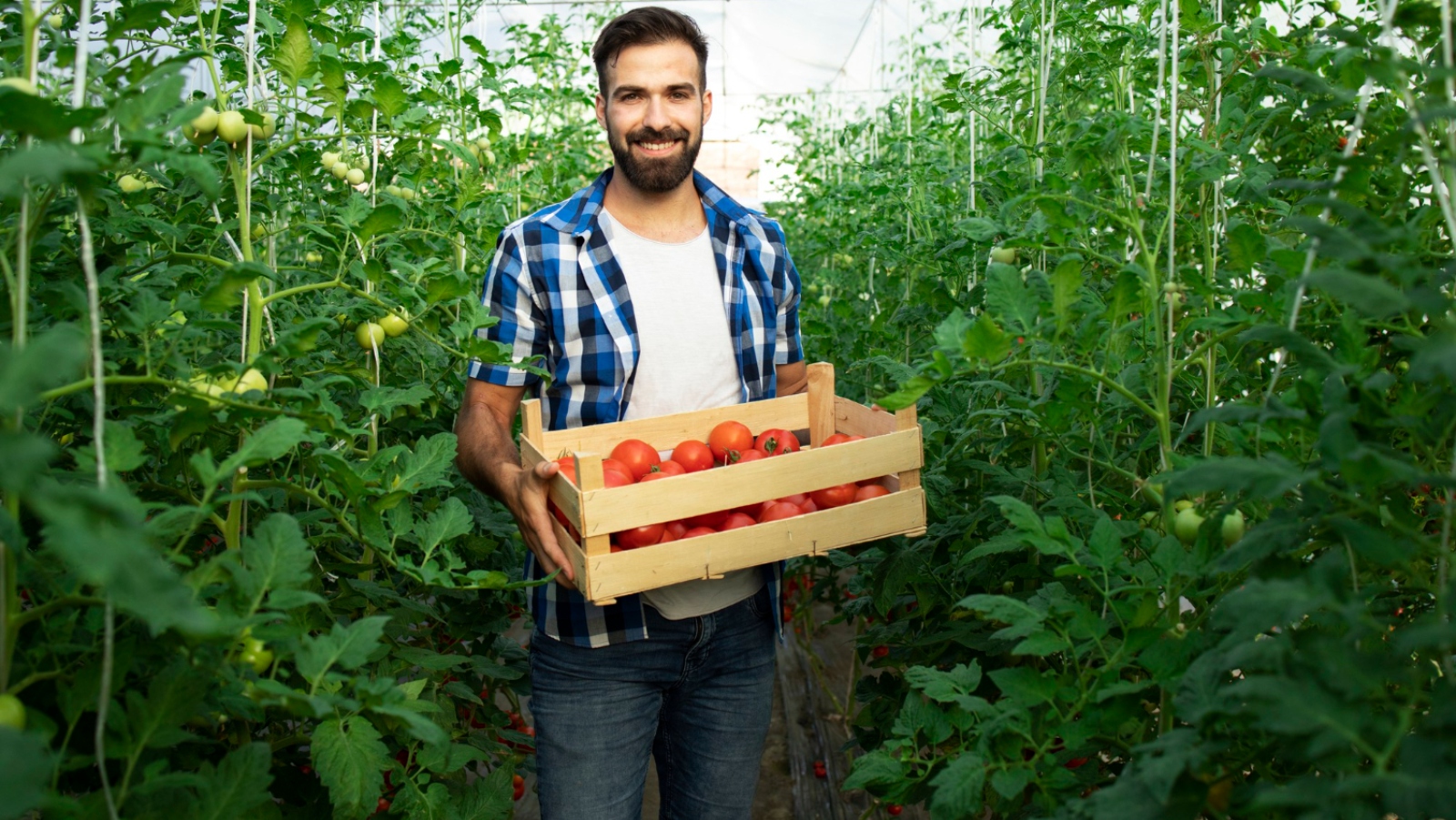 Illustrative image by aleksandarlittlewolf on Freepik