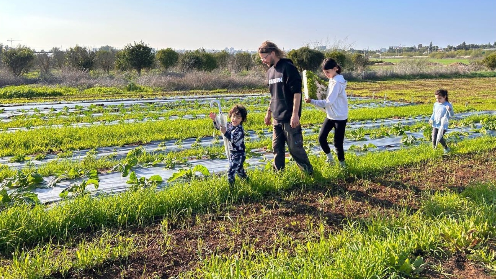 A group of four people including two children and two adults, walk through a green field with rows of plants on Root and Leaf farm. They are holding long sticks and the sun is shining brightly on the scene. Trees and a clear sky are visible in the background. 