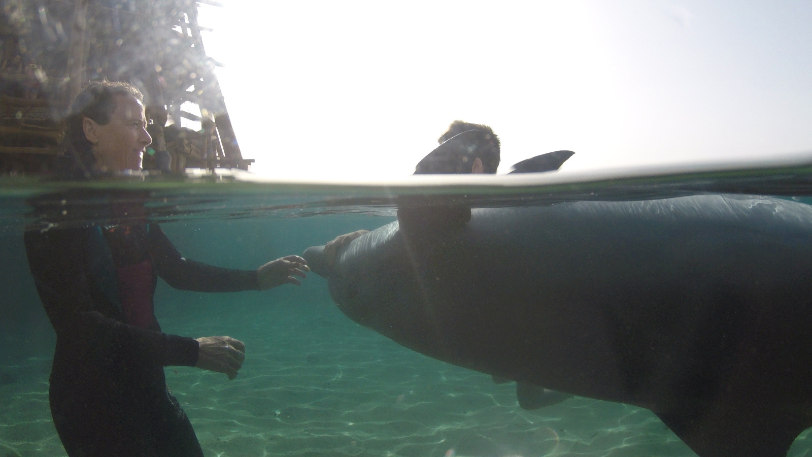 Sophie Donio pioneered a new type of dolphin therapy. Photo by Hadas Tsion