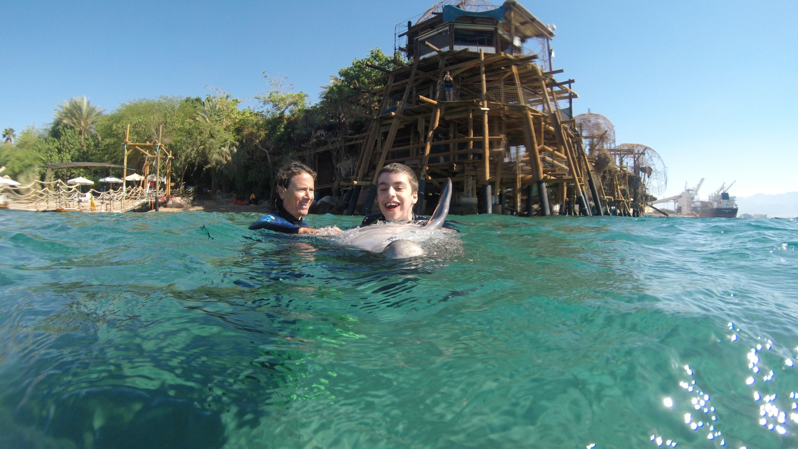Sophie Donio working with a young client at the Dolphin Reef, Eilat. Photo by Hadas Tsion