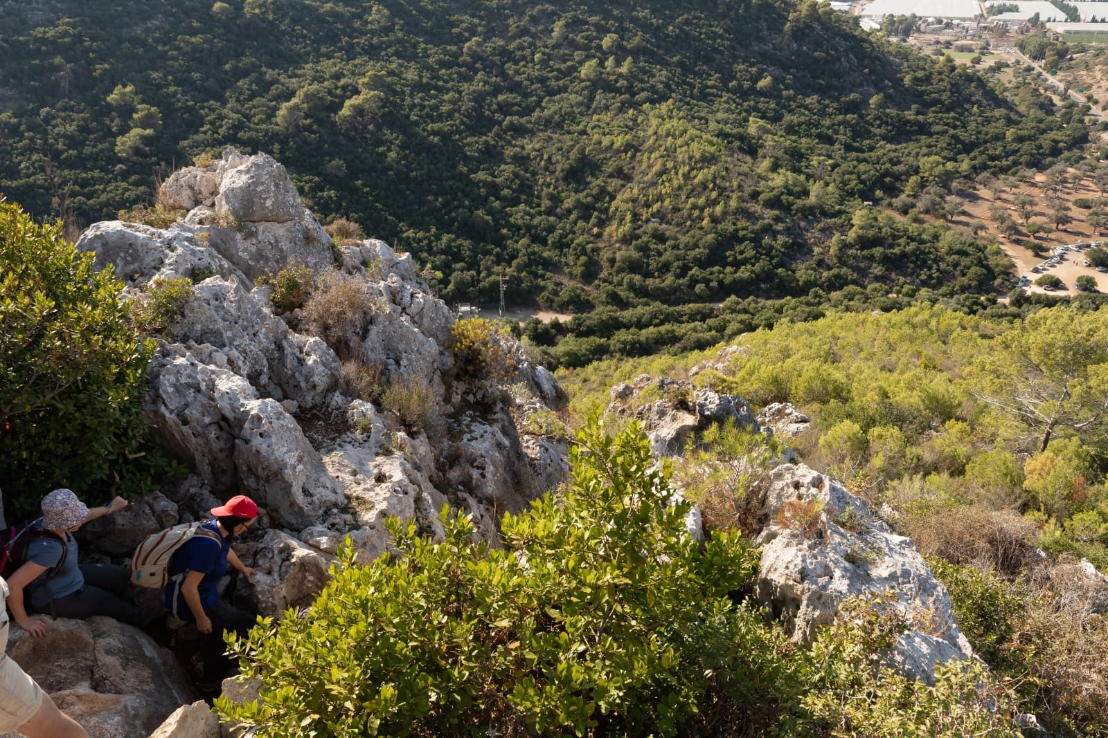 The Carmel forest near Haifa. Photo by Dmitriy Feldman Svarshik via Shutterstock.com