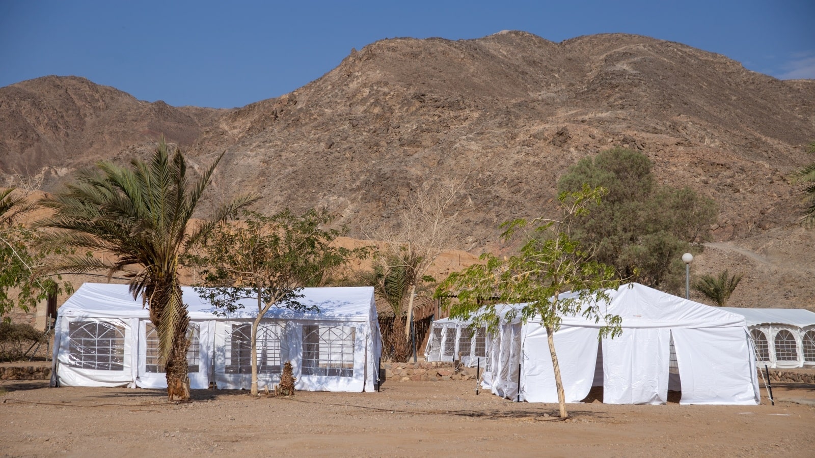 Tents for temporary school at Eilat Field School. Photo by John Jeffay