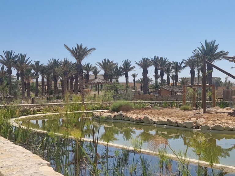 Manmade lakes at Midbarium are fed through a network of water pumps. Photo courtesy of Midbarium