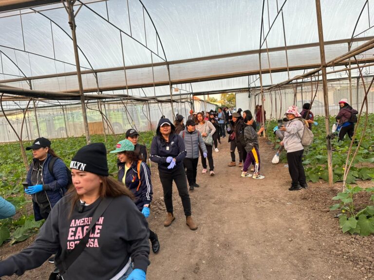 Filipino workers volunteering on an Israeli farm during the war. Photo by Brian Noel