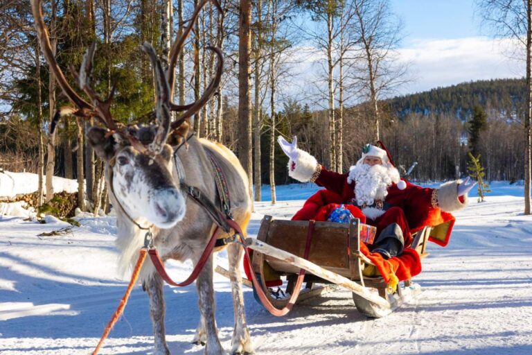 The Jerusalem Santa brings reindeer to the HoHoHoly Land from the North Pole, but keeps them near the airport. Photo courtesy of Issa Kassissieh