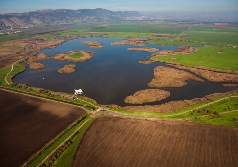 Aerial view of Agamon Hula, 2014. Photo by Mordgan