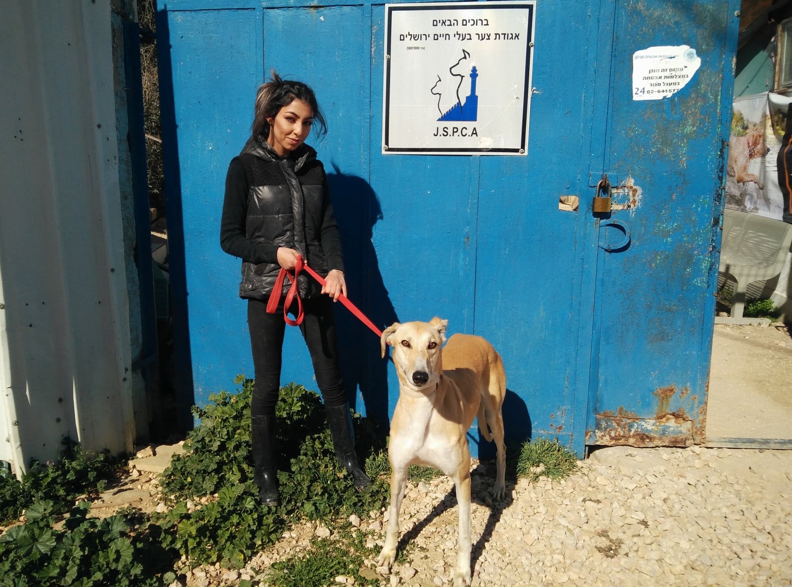 A Jerusalem Society for the Prevention of Cruelty to Animals volunteer holding a dog at the shelter. Photo courtesy of Jerusalem Society for the Prevention of Cruelty to Animals