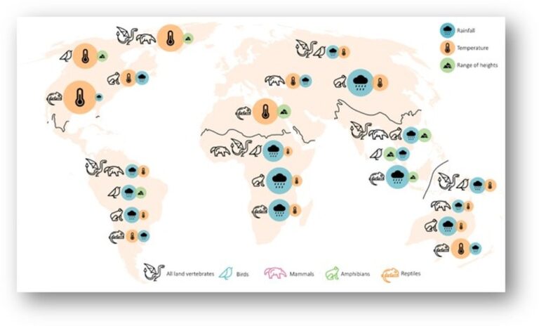This illustration demonstrates whether rainfall, temperature, or height determines the number of species in different places in the world. The size of the circle depicts the importance of the factor. The two most important factors are presented for each animal group. Photo courtesy of Tel Aviv University