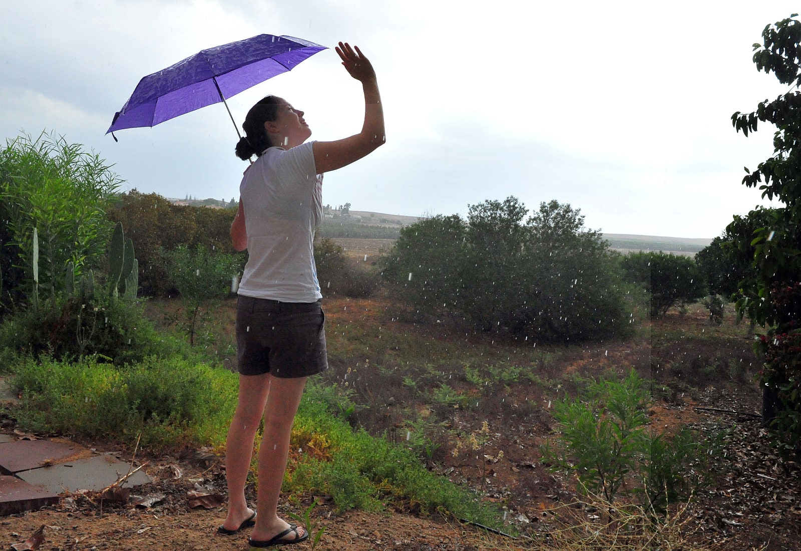 Rain may encourage biodiversity. Photo by ChameleonsEye via Shutterstock.com