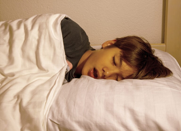 Photo by SrideeStudio via Shutterstock.com