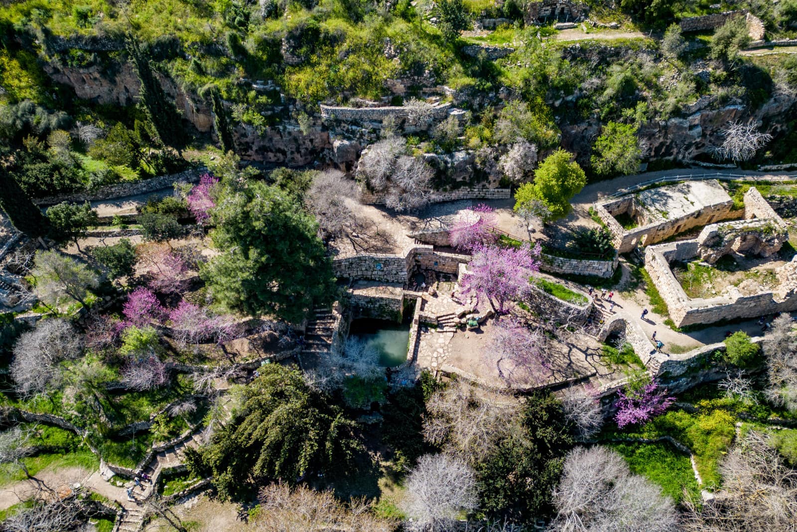 View of the Sataf, west of Jerusalem, March 2023. Photo by Yonatan Sindel/Flash90