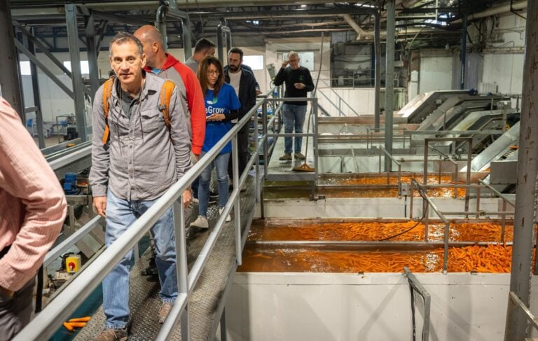 ReGrow Israel innovation experts touring Yacham, Israel’s largest root vegetable producer, a cooperative company of kibbutzim and moshavim in the south. Photo by Moshe Filberg