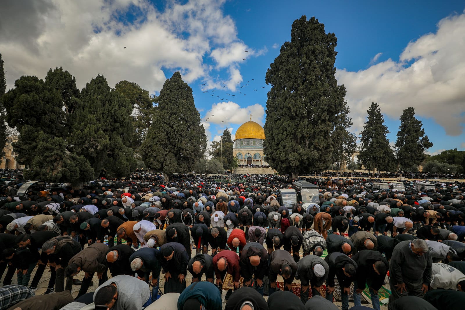 Thousands of Muslim worshipers attend the first Friday prayers of the holy month of Ramadan. They are praying outdoors in front of the al-Aqsa Mosque in Jerusalem's Old City, surrounded by tall trees under a partly cloudy sky.