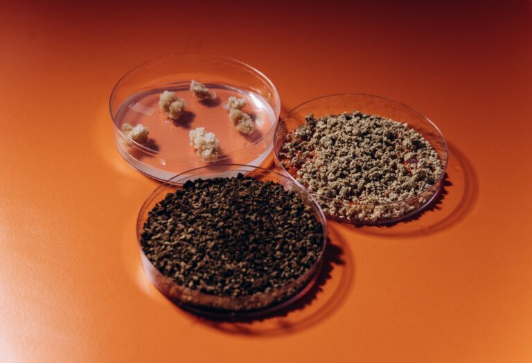 Pluri’s coffee cells are cultivated, dried and roasted before becoming the coffee grounds we all know and love. Photo by Michael Brikman