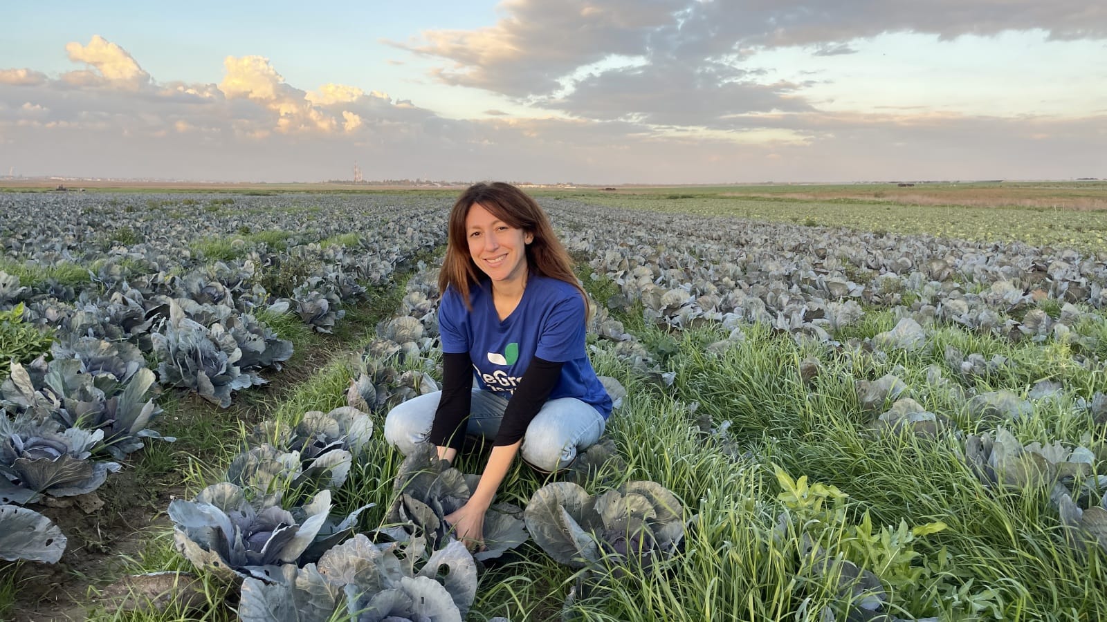 Danielle Abraham in a Western Negev cabbage field. Photo courtesy of ReGrow Israel