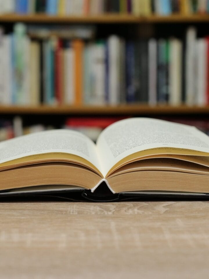 Photo by Irisphoto via Shutterstock.com