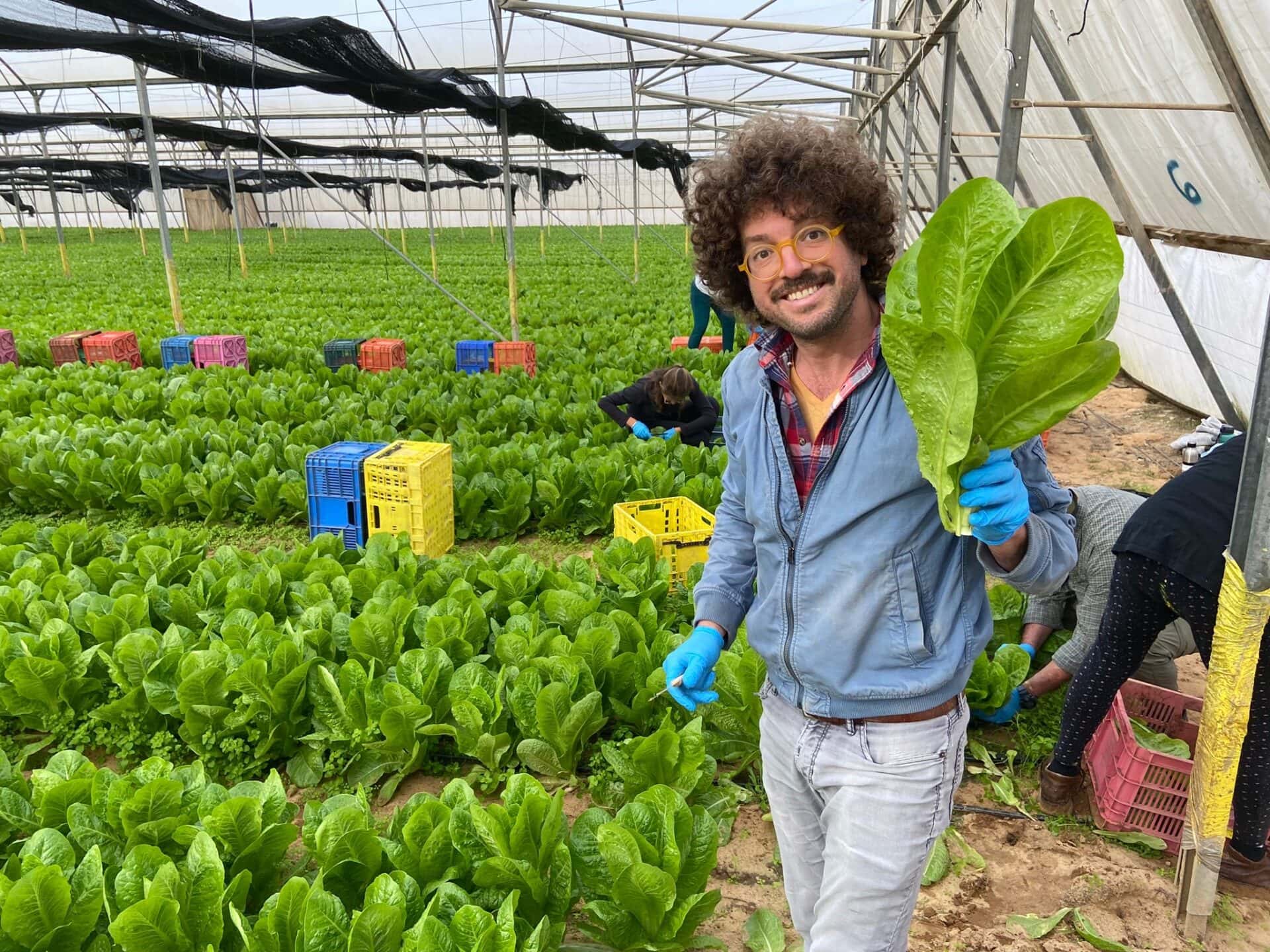 Photo courtesy of Mishy Harman