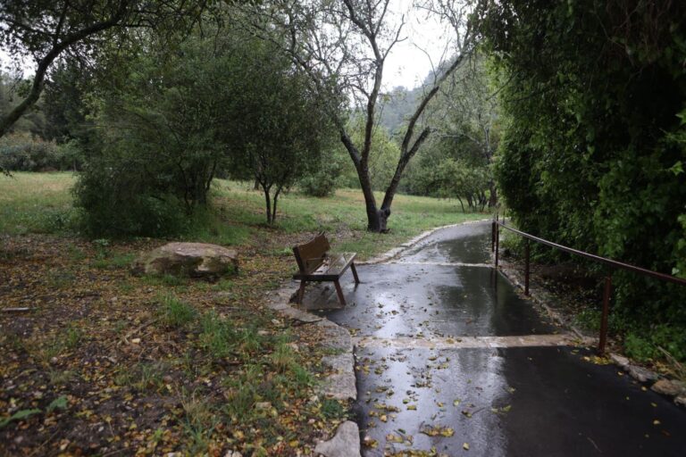 A bench stands beside an accessible hiking trail at Nahal HaShofet. Photo By Alex Kolomoisky/KKL-JNF