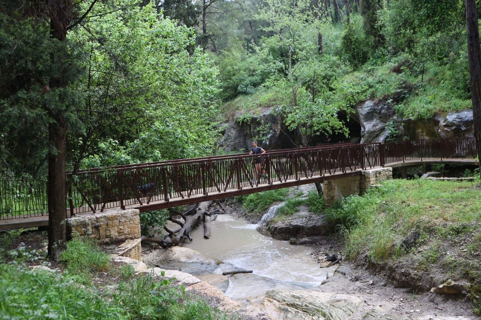 A bridge crosses the titular nahal (river) in the newly reopened Nahal HaShofet park. Photo By Alex Kolomoisky/KKL-JNF