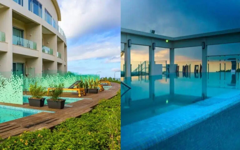 The Almond, opened in February 2024, is for adults only. Photos: screenshot