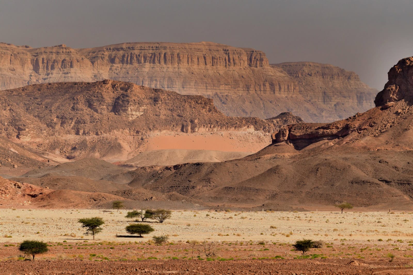 Timna Park in southern Israel. Photo by Mendy Hechtman/Flash90