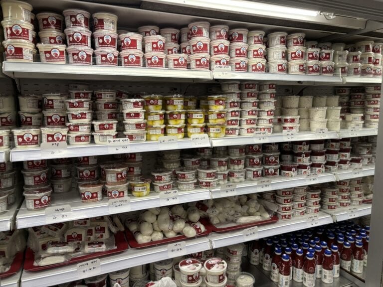 The farm expanded the range of products usually made from buffalo cheese to cater to Israeli tastes. Photo by Natalie Selvin