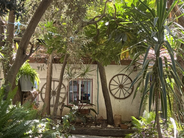 The picturesque Buffalo Farm is a family business going back generations. Photo by Naama Barak