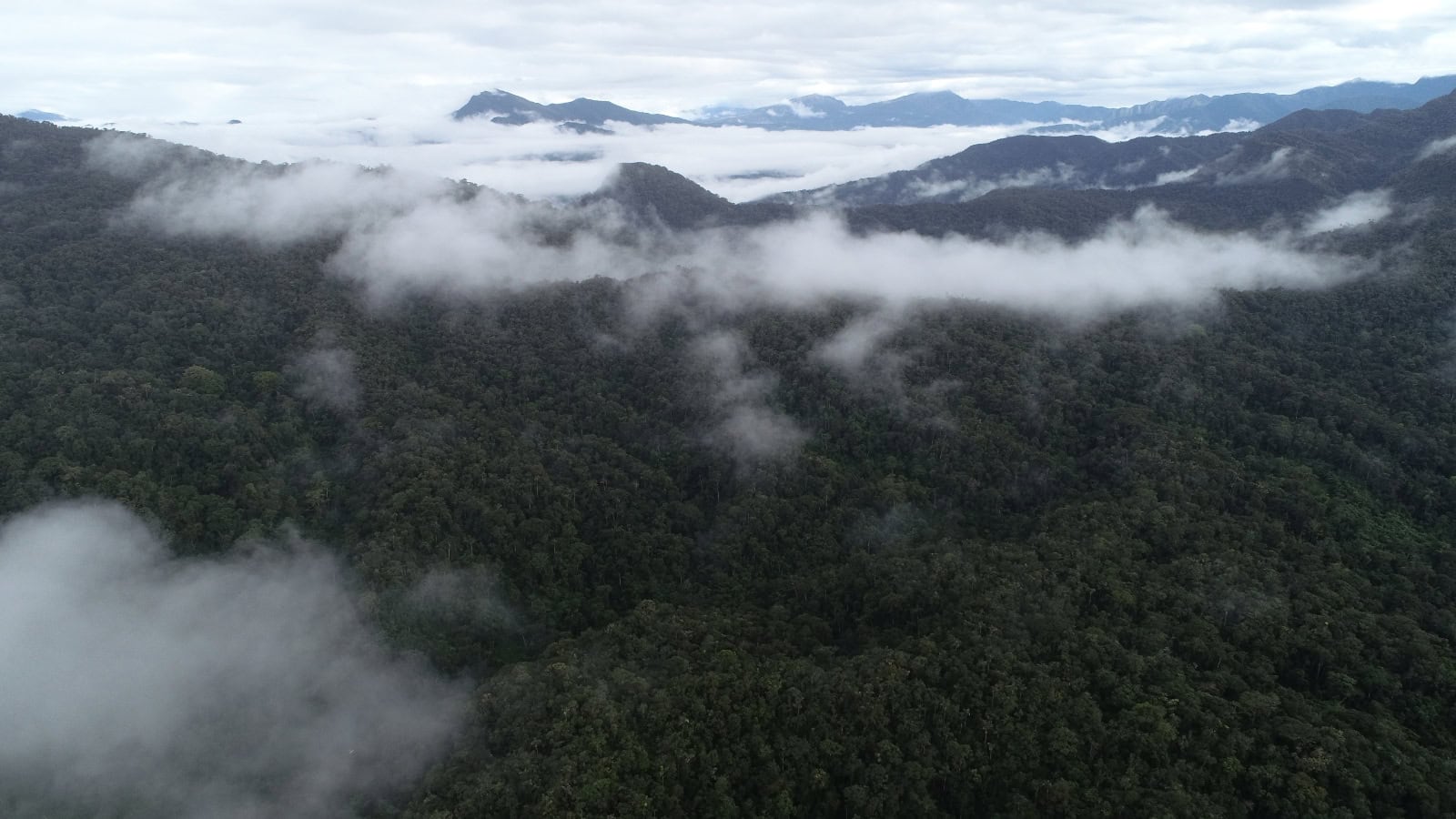 Sun Angel’s Gardens, Peru. Photo courtesy of NPC, Peru