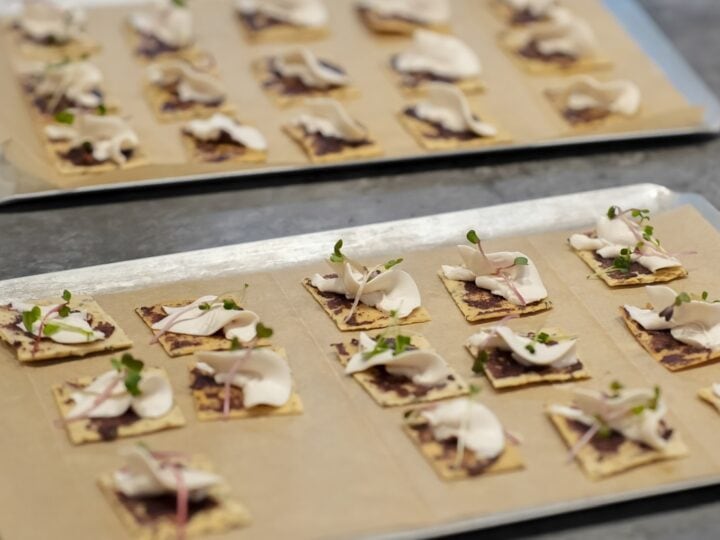 A tray of snacks made with Brevel’s alternative protein. Photo by Eldad Shatz