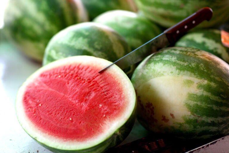 Watermelons ready to eat in Jerusalem. Photo by Abir Sultan/Flash 90