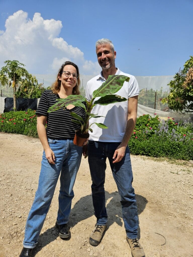 Day 8 cofounders Daniel Rejzner and Dana Marom holding a banana leaf. Photo courtesy of Day 8