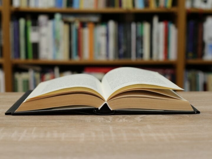 Lose yourself in a good book this summer. Photo by Jure Divich via Shutterstock.com