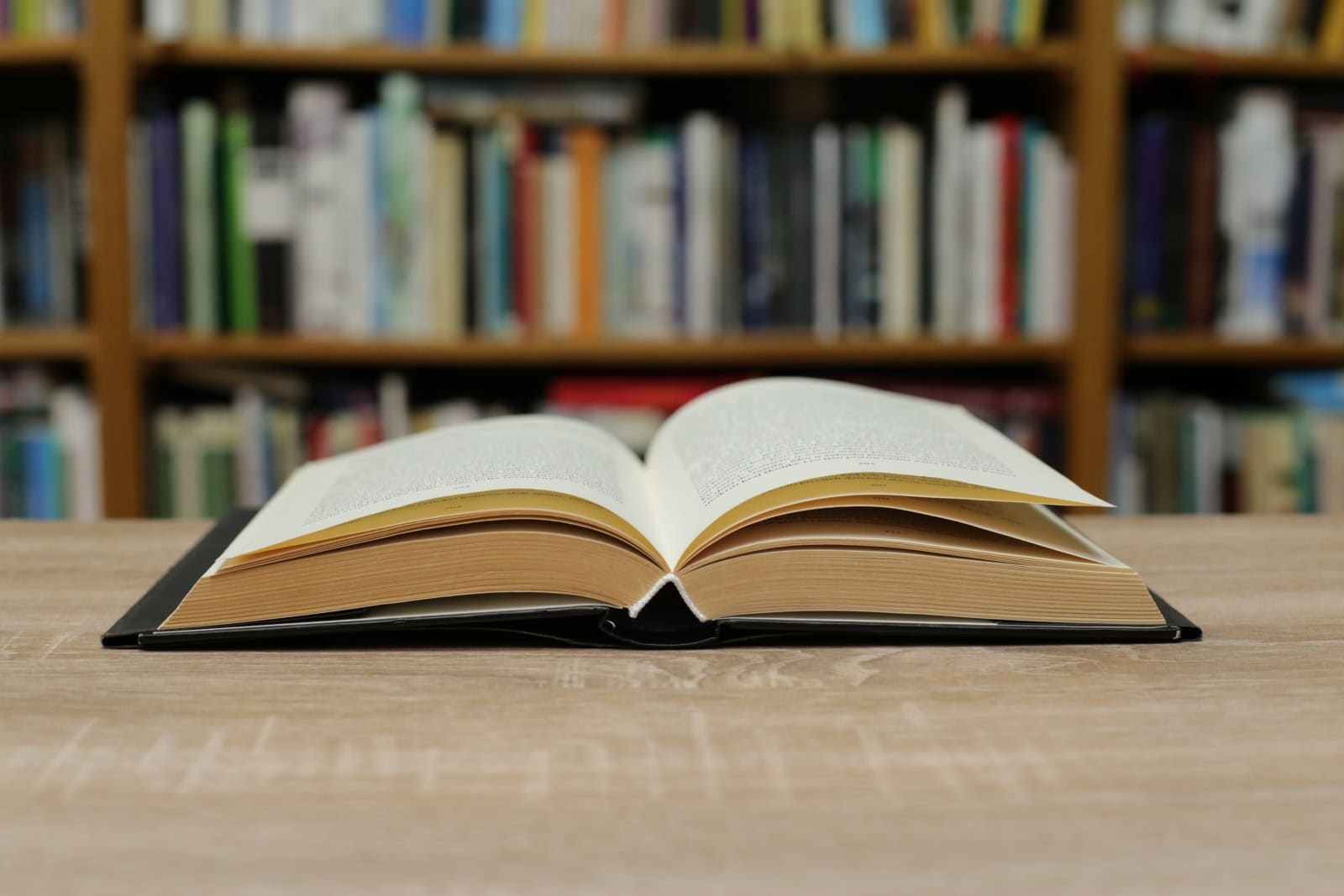 Lose yourself in a good book this summer. Photo by Jure Divich via Shutterstock.com