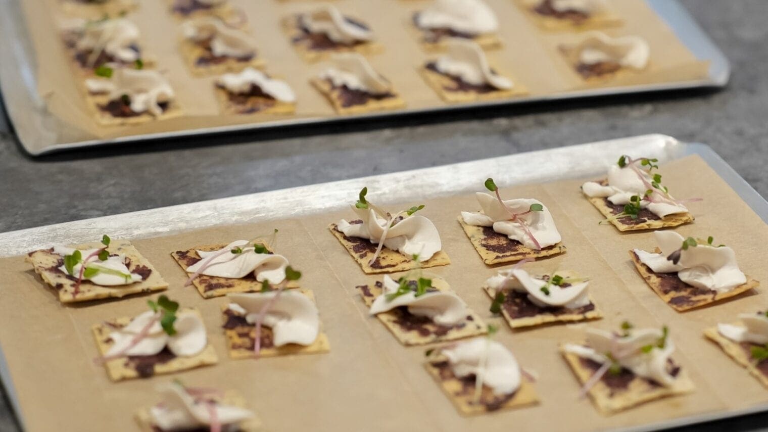 Some tasty snacks made from Brevel’s microalgae protein. Photo by Eldad Shatz