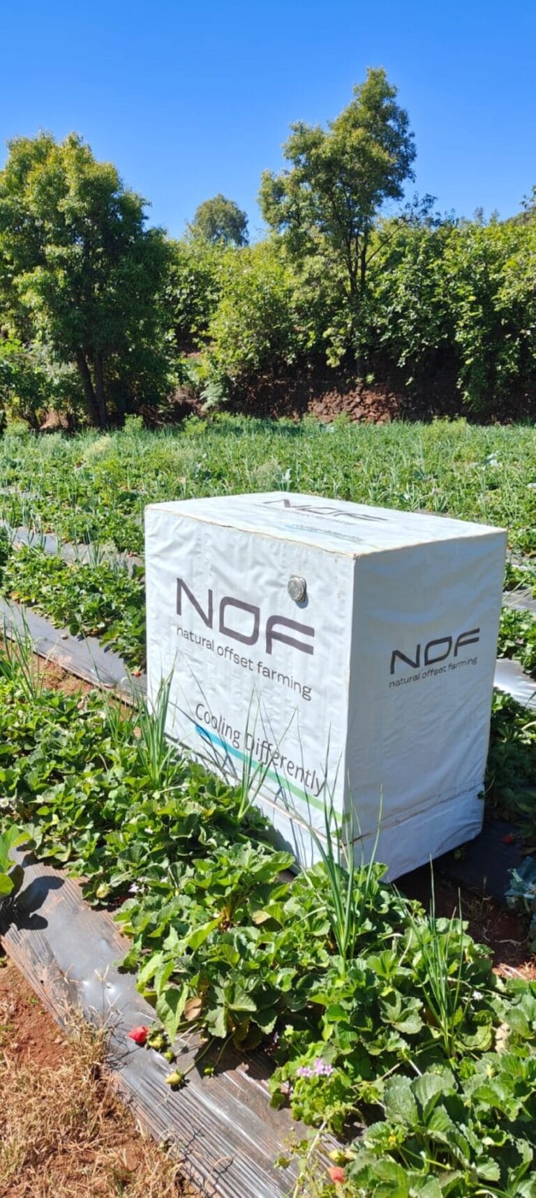 The NOF device in a strawberry field. Photo courtesy of NOF