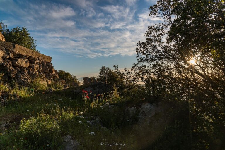 A trail on Mount Meron. Photo by Erez Ashkenazi via Wikimedia Commons 